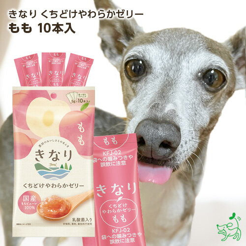 犬用・猫用 ヤギミルクのプリン 豆プリン3種セット 小豆・大豆・枝豆 米粉クッキー入冷凍パック【クール便発送】犬 猫 手作りごはん