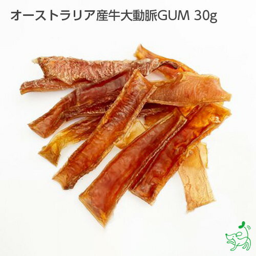 無添加 オーストラリア産牛大動脈GUM 30g イリオスマイル ドッグフード ドックフード 犬用おやつ 犬 おやつ 無添加おやつ デンタルケア 歯磨き プライムケイズ