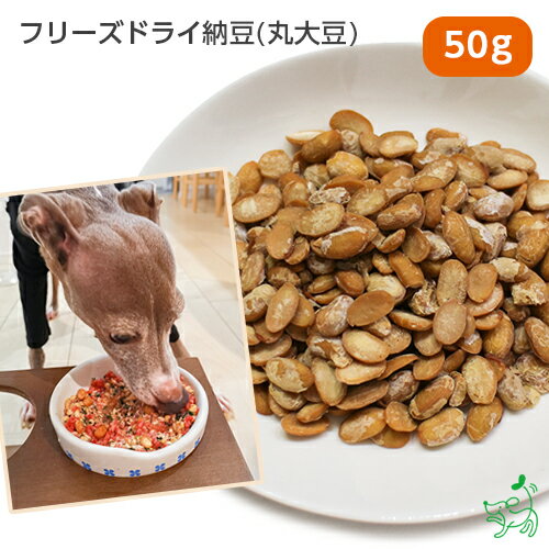 国産 無添加 北海道産 フリーズドライ納豆(丸大豆) 50g 犬 おやつ 腸 無着色 イリオスマイル ドッグフード ドックフード 犬用おやつ 犬 おやつ 無添加おやつ 手作りごはん 節分 犬