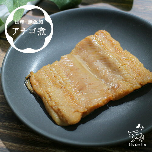 無添加 国産 アナゴ煮 40g レトルト ウェットフード 切り身 犬 おやつ 低アレルギー 低アレルゲン さかな オメガ3 トッピング トリーツ 犬用 猫用 ペット 小型犬 中型犬 大型犬 トッピング ドッグフード ドックフード ペットフード キャットフード イリオスマイルのサムネイル