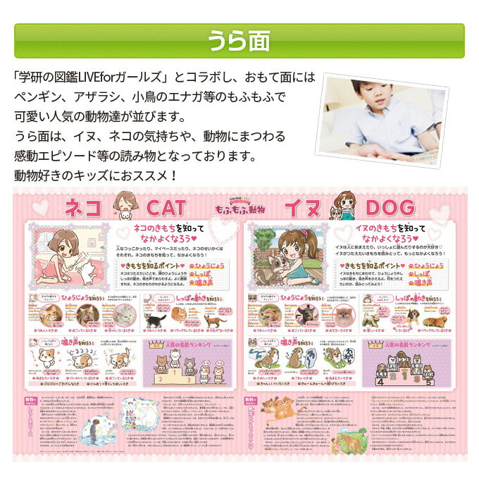 ★エントリーで当店全品P10倍!9/4 20:00〜9/11 1:59★【丸めないからすぐ使える】2022年度 もふもふ動物 DM-19GM デスクマット 女の子 動物好き 学研図鑑LIVE for ガールズ コラボ クロガネ くろがね学習机 学習デスク用