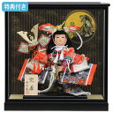 【マラソン限定!確率1/2で最大100%ポイントバック】◆特典付き 【展示現品】五月人形 ケース飾り ケース入り コンパクト 小型 小さい 小さめ こども大将 ...