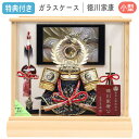 【マラソン限定!確率1/2で最大100%ポイントバック】◆特典付き×24%OFF【数量限定】五月人形 ケース飾り ガラスケース 兜飾り 徳川家康 金兜 白木 家...