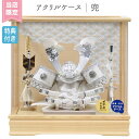 ◆特典付き 【展示現品×当店オリジナル】【P10×2025年度新作】五月人形 兜 兜飾り 兜ケース飾り ケース飾り アクリルケース 鍬形 銀兜 弓太刀 大小刀 家具調 木目調 かぶと おしゃれ 5月人形 端午の節句 【801G25】【数量限定】