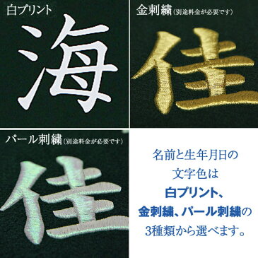 【お得なクーポン配布中★】五月人形 名前旗 旗 節句 室内飾り 【雲龍 名前入れのみ】 端午の節句/名前入れ代込/初節句/節句飾り/男の子