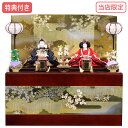 ◆特典付き 【展示現品】雛人形 ひな人形 衣裳着 コンパクト収納飾り 親王飾り RO110S71 衣裳着人形 雛 ぼんぼり おひなさま/ひなまつり/かわいい/お...