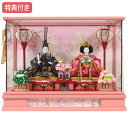 ◆特典付き 【展示現品】 雛人形 ひな人形 ケース飾り ケース入り 親王飾り 二人飾り 二段飾り 028 萌 金彩小桜芥子二人パノラマケース 衣裳着人形 親王ケース飾り/お雛様/映え【数量限定】