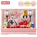 ◆特典付き×25%OFF【数量限定】雛人形 ひな人形 衣裳着人形 ケース飾り 親王飾り 送料無料 桃の節句 ひな祭り お雛様/映え 【831S23】 家具調 木目調 ピンク おしゃれなコンパクトケース飾り