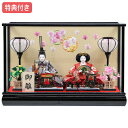 ◆特典付き×17%OFF【展示現品】雛人形 ひな人形 衣裳着人形 ケース飾り 親王飾り 送料無料 桃の節句 ひな祭り お雛様/映え 【562S23】 黒 ブラック おしゃれなコンパクトケース飾り 【数量限定】