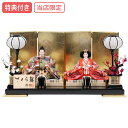 【マラソン限定!確率1/2で最大100%ポイントバック】【特典付き×24%OFF】 【数量限定】【当店オリジナル】 雛人形 ひな人形 衣裳着人形 平飾り 親王飾...