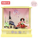 ◆特典付き×39%OFF【展示現品】雛人形 ひな人形 衣裳着人形 衣裳着 ケース飾り アクリルケース 親王飾り 二人飾り イエロー 黄色 送料無料 桃の節句 ひな祭り お雛様 映え【341S24】【数量限定】