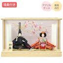 ◆特典付き×8%OFF【展示現品】【P10×2025年度新作】 雛人形 ひな人形 衣裳着人形 衣裳着 ケース飾り アクリルケース 親王飾り 二人飾り 雪洞点灯 家具調 木目調 送料無料 桃の節句 ひな祭り 映え 【431S25】【数量限定】