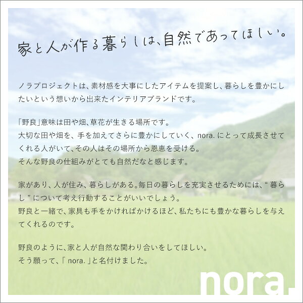 �ǥ����若�� ���㥹�����դ� ���饤�ɥ졼�� ��Ǽ�ȶ� �ǥ�����Ǽ ����ץ� �ʥ����� �Υ� nora. �ڥ֥졼���