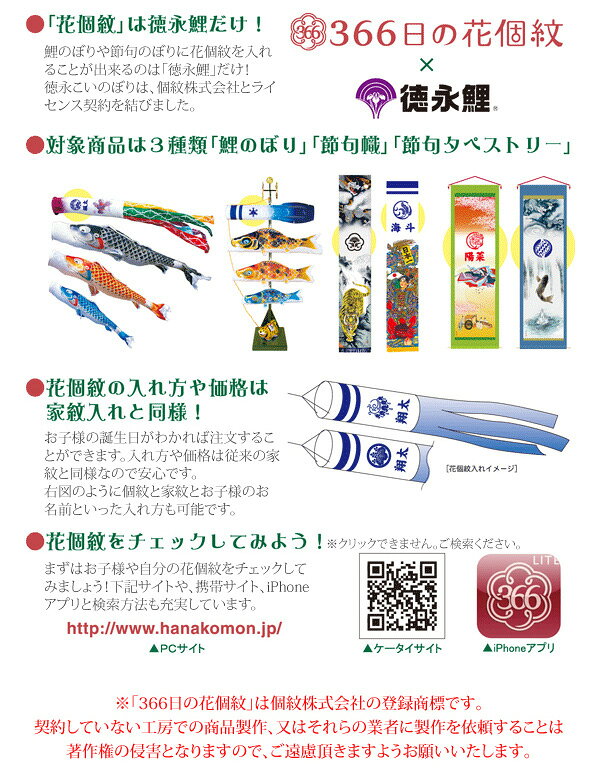 アイルインテリアエクセルの2026年度 日本製 徳永鯉 五月人形 名前旗 室内かざり 押絵名前旗飾り（中） こいのり金太 オプション飾り キャンバス祝集兼用 花個紋 お名前・生年月日入れ可能/込 153-079｜アングル2