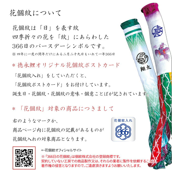 アイルインテリアエクセルの2026年度 日本製 徳永鯉 五月人形 名前旗 室内かざり 押絵名前旗飾り（中） こいのり金太 オプション飾り キャンバス祝集兼用 花個紋 お名前・生年月日入れ可能/込 153-079｜アングル3