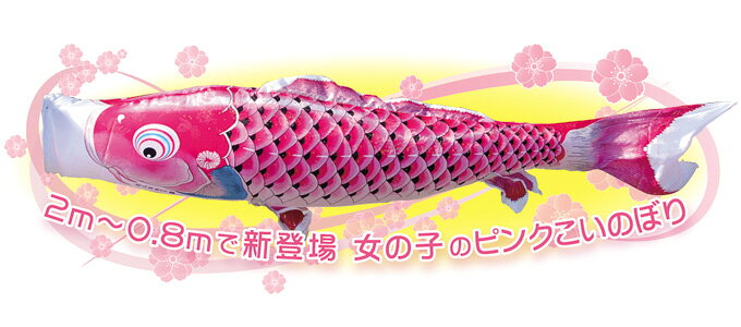 アイルインテリアエクセルの2026年度 日本製 こいのぼり 徳永鯉 鯉単品 慶祝の鯉 吉兆 単品鯉2m 000-566 黒鯉/赤鯉/青鯉/緑鯉/紫鯉/ピンク鯉 撥水加工鯉｜アングル3