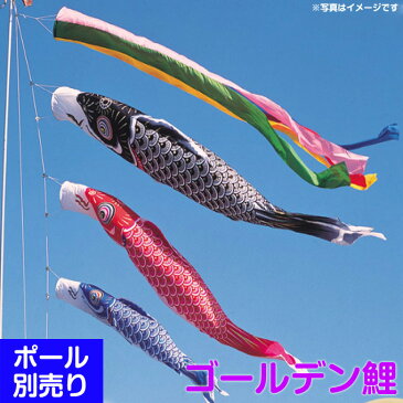 こいのぼりセット 庭園用 大型セット ゴールデン鯉 6m6点セット ポール別売/端午の節句/鯉3色 家紋・名入れ不可【フジサン鯉のぼり】【初節句】【端午の節句】
