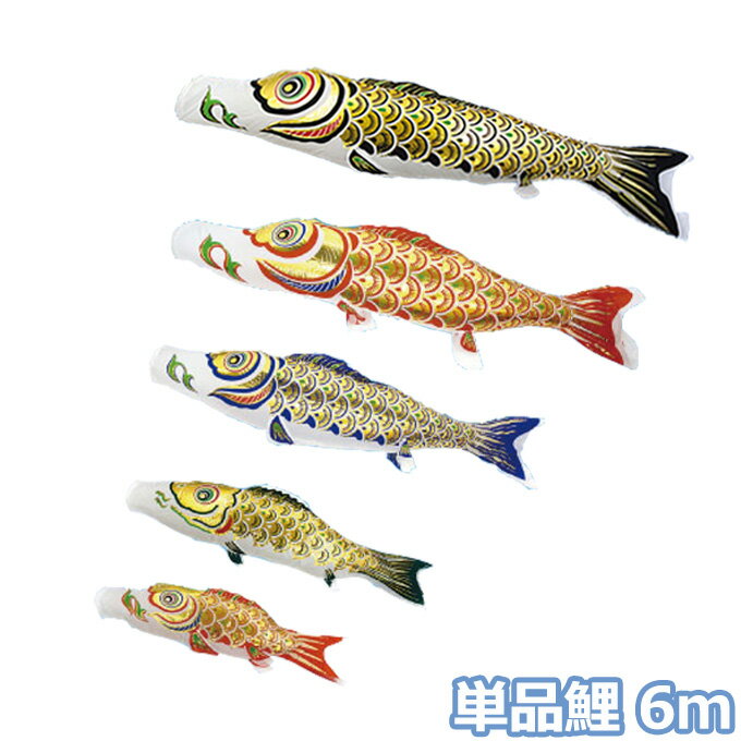 2025年度 新作 日本製 こいのぼり 単品 金箔押 単品鯉 6m 節句 村上鯉のぼり