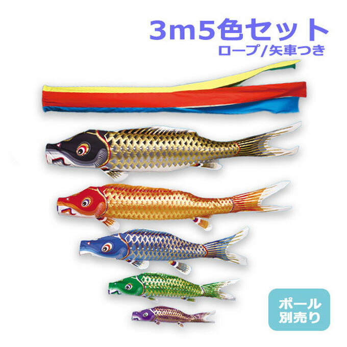 2026年度 新作 日本製 こいのぼり ワタナベ鯉のぼり 大型セット 江戸錦鯉 3m8点セット 五色吹流し 鯉5色 ポール別売 庭用 鯉のぼり 錦鯉 家紋/名入れ不可