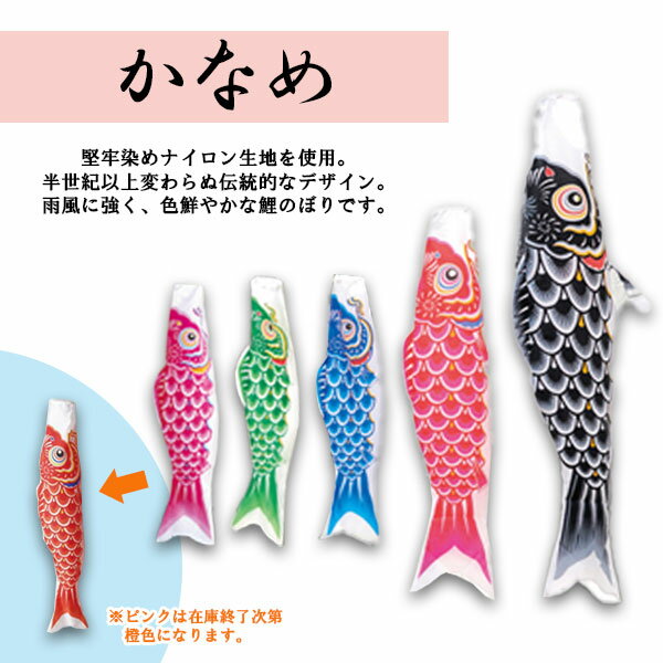 2026年度 新作 日本製 こいのぼり ワタナベ鯉のぼり [easy おてがるセット] かなめ 1.5m5色セット 鯉5色 おてがるset 庭用 コンパクト 簡単 家紋/名入れ不可