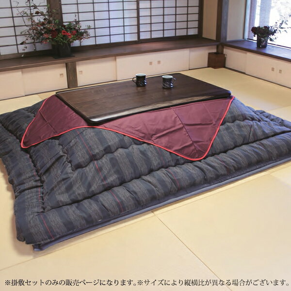 【スーパーSALE限定クーポン＆エントリーでPアップ！〜6/11 1:59迄】こたつ布団 長方形 掛敷セット KF-382 #60 (180サイズ用） 暖か