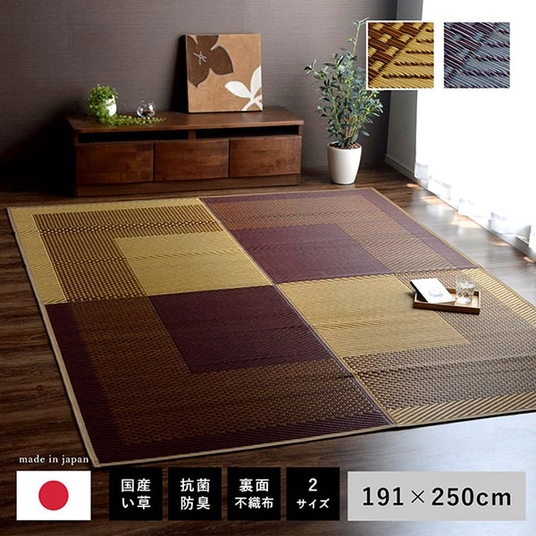 饰 ĹDX⡼˥2 191250cm  ץ դä