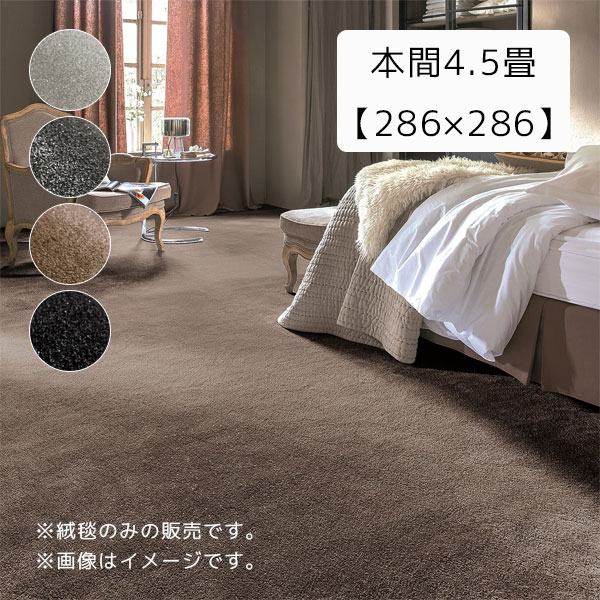 [ 2698 ֥å/졼/С/֥饦 ܴ4.5 ] 286286 ץ졼٥ ڥå ̵ ץ ...