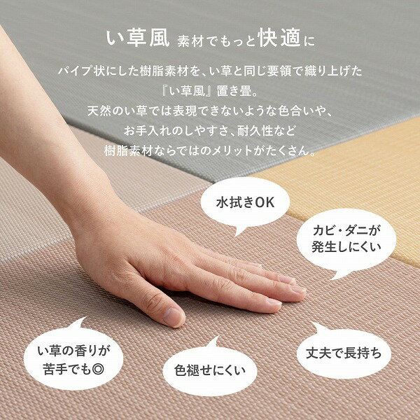 ��10������!��Ψ1/2�Ǻ���100��ݥ���ȥХå���[6������ �������֤��� ���ܤ� ��82��82��2.5cm]�忡��OK ���������ñ �� Ʊ�����å� �ѥ��ƥ륫�顼 ���٤�ߤ��դ� �ڤ� ������� ���襤�� ̵�� ����ץ�