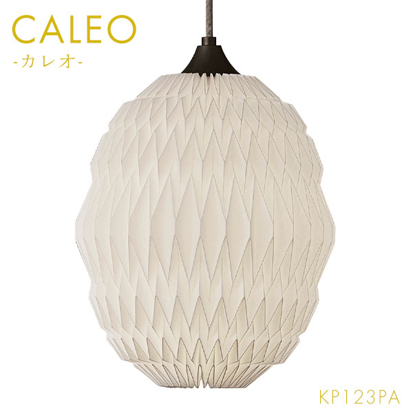 ڼ [CALEO ڥ 쥪1 ۥ磻 KP123PA] 쥯  饤  ץ ʥ ǥ...