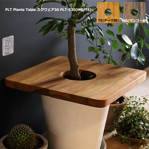 プランツテーブル 【 PLT Plants Table スクウェア30 PLT-S30(MG/TE) 】 プランツテーブル デッドスペース解消 サイドテーブル ディスプレイ棚