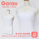 5月いっぱい ポイント10倍 & サンキュー価格 1000円 ポッキリ 送料無料【Garau】吸水速乾 サラサラ コットン ブラインソフトカップ パターンメッシ...