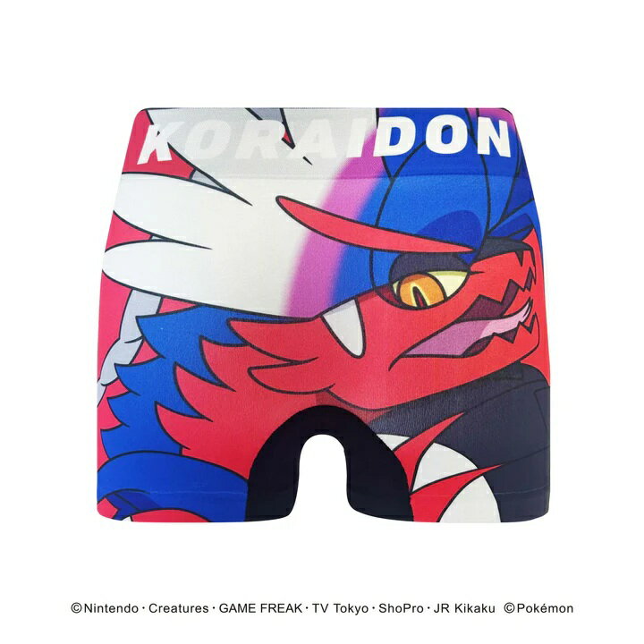 Rakuten - KIDS【 POKEMON ポケットモンスター 】コライドン 子供 パンツ HIPSHOP ヒップショップ ポケモン POK_MON ボクサーパンツ アンダーパンツ キッズ 子供 パンツ 下着 肌着 前閉じ かわいい ポケモン 転写プリント 成型 ストレッチ プレゼント ギフト 贈り物 110 120 130