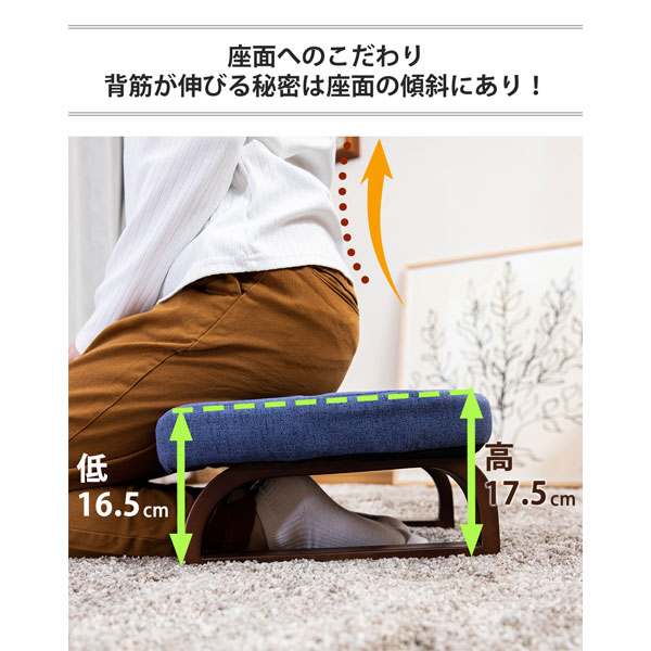 正座椅子 あぐら イス シンプル コンパクト 軽量 持ち運び 楽 カジュアル 座面広め こたつ 和室 法事 高齢 敬老の日 父の日 母の日【ricca(リッカ) RMHZ-40】 [2]