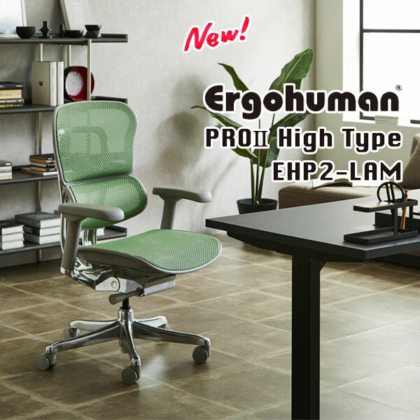 SS限定!確率1/2で最大100%ポイントバック [エルゴヒューマン プロ2 ロータイプ EHP2-LAM] チェア パソコン オフィス ワーク 人間工学 姿勢 楽 おしゃれ シンプル スタイリッシュ Ergohuman [2]