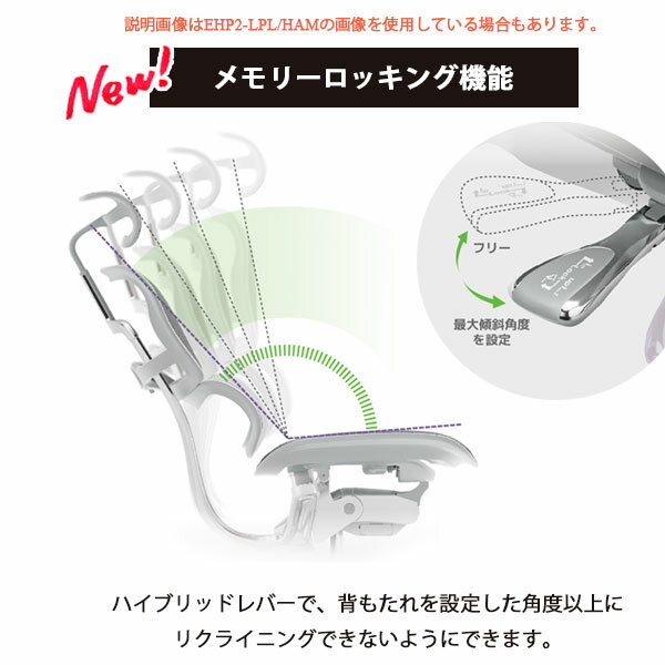 SS限定!確率1/2で最大100%ポイントバック [エルゴヒューマン プロ2 ロータイプ EHP2-LAM] チェア パソコン オフィス ワーク 人間工学 姿勢 楽 おしゃれ シンプル スタイリッシュ Ergohuman [3]