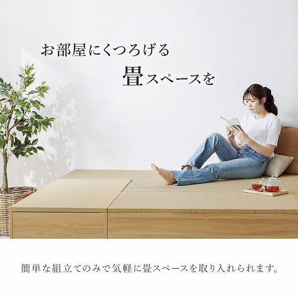 【単体販売】 小上がり ロータイプ長方形 収納 おしゃれ シンプル ナチュラル 腰掛 和室 和風 コンパクト 移動 [畳付き収納スツール RUD-1149GR/NA/BR] [2]