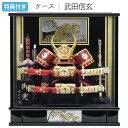 ◆特典付き×26%OFF【展示現品】五月人形 兜 兜飾り ケース飾り ガラスケース 武田信玄 金兜 武将 弓太刀 大小刀 12号 【851G24】 かぶと おしゃれ 5月人形 端午の節句【数量限定】