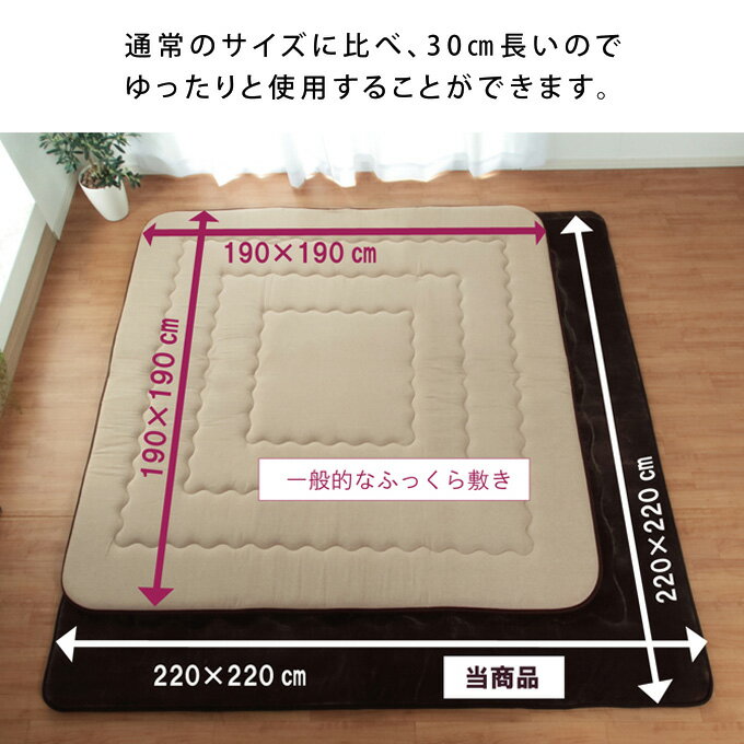 こたつ敷布団 カーペット ラグ 単品 長方形 幅広ラグ 防音性 【大判ドーク 敷】220×300 おしゃれ シンプル あたたかい ふっくら 気持ちいい 3