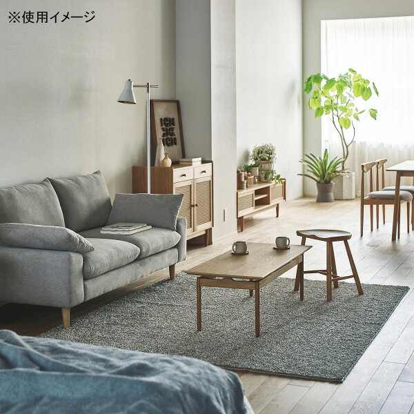[form]ラグ F9-105LGY/SGY オールシーズン 通年 国産ラグ 敷物 グレー 240×190 3畳用 落ち着いた色合い シンプル おしゃれ ホットカーペット 床暖房対応 [3]