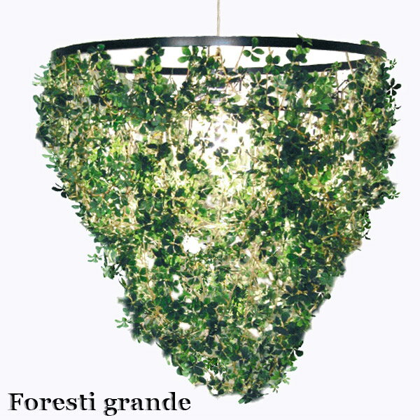 BF!Ψ1/2Ǻ100ݥȥХå ڼۥڥȥ 饤  Foresti grande ե쥹ƥ  LP...