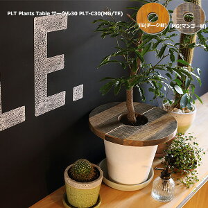 プランツテーブル 【 PLT Plants Table サークル30 PLT-C30(MG/TE) 】 プランツテーブル デッドスペース解消 サイドテーブル ディスプレイ棚