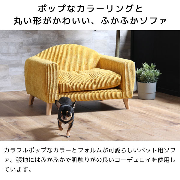 HARDEN �ϡ��ǥ� �ڥå��ѥ��ե� �����ǥ���� �դ��դ� �ݥå� ���襤�� ������ �Ӽ�곰����ǽ �زȶ��PETTO��