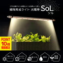 【10倍Pは9/11 01:59まで】植物育成ライト 太陽神SoLソル タイマー あり なし バー タイプ 植物 ライト 100V LED ledライト 植物育成LED 観葉植物 太陽光 育成 フルスペクトル タイマー機能 led 光合成 水草栽培 室内栽培ライト 水耕栽培 照明 おしゃれ ルクス 屋外 室内 PSE