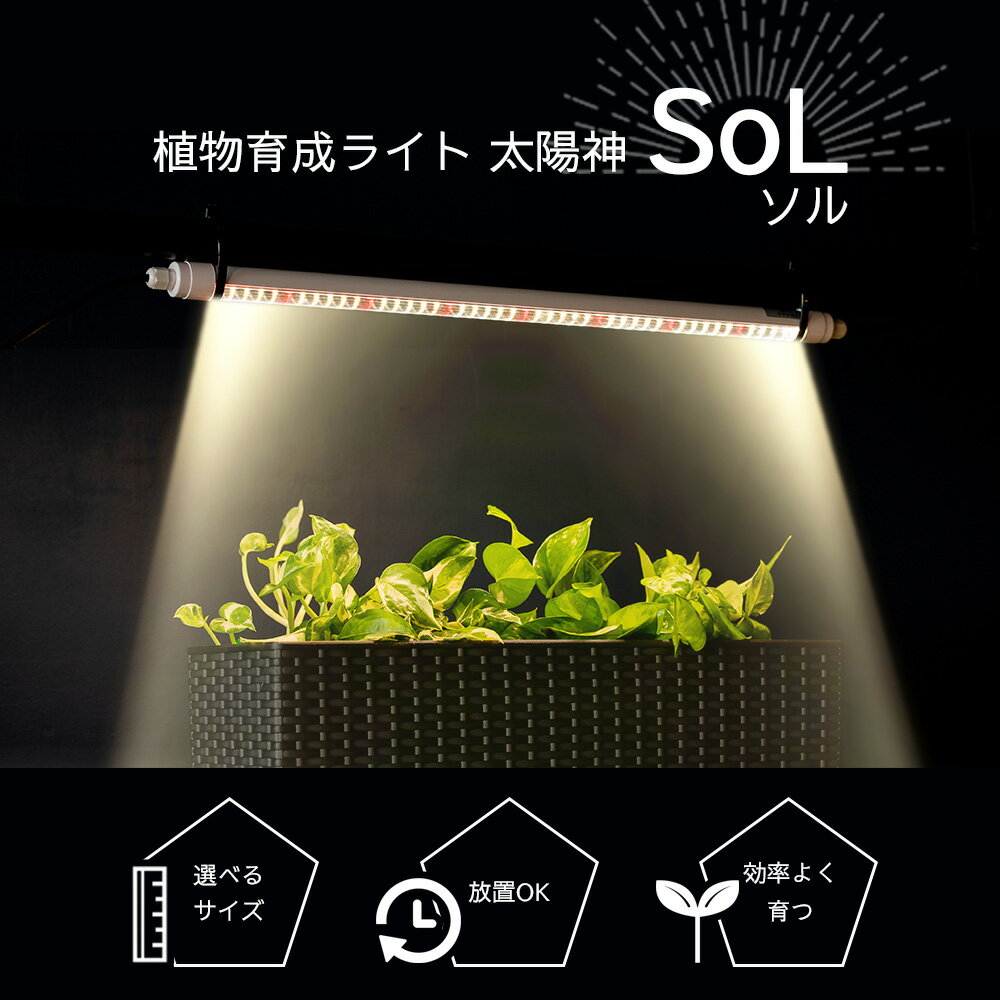 植物育成ライト 太陽神SoLソル | タイマーあり /タイマーなし | 100V LED タイマー ledライト 植物育成LED 観葉植物育成 フルスペクトル タイマー機能 led 植物ライト 多肉植物育成 タイマー 室内園芸 水草栽培 室内栽培ライト 水耕栽培 マイクログリーン パキポディウム