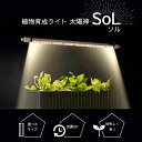 植物育成ライト 太陽神SoLソル | タイマーあり /タイマーなし | 100V LED タイマー ledライト 植物育成LED 観葉植物育成 フルスペクトル タイマー機能 led 植物ライト 多肉植物育成 タイマー 室内園芸 水草栽培 室内栽培ライト 水耕栽培 マイクログリーン パキポディウム その1