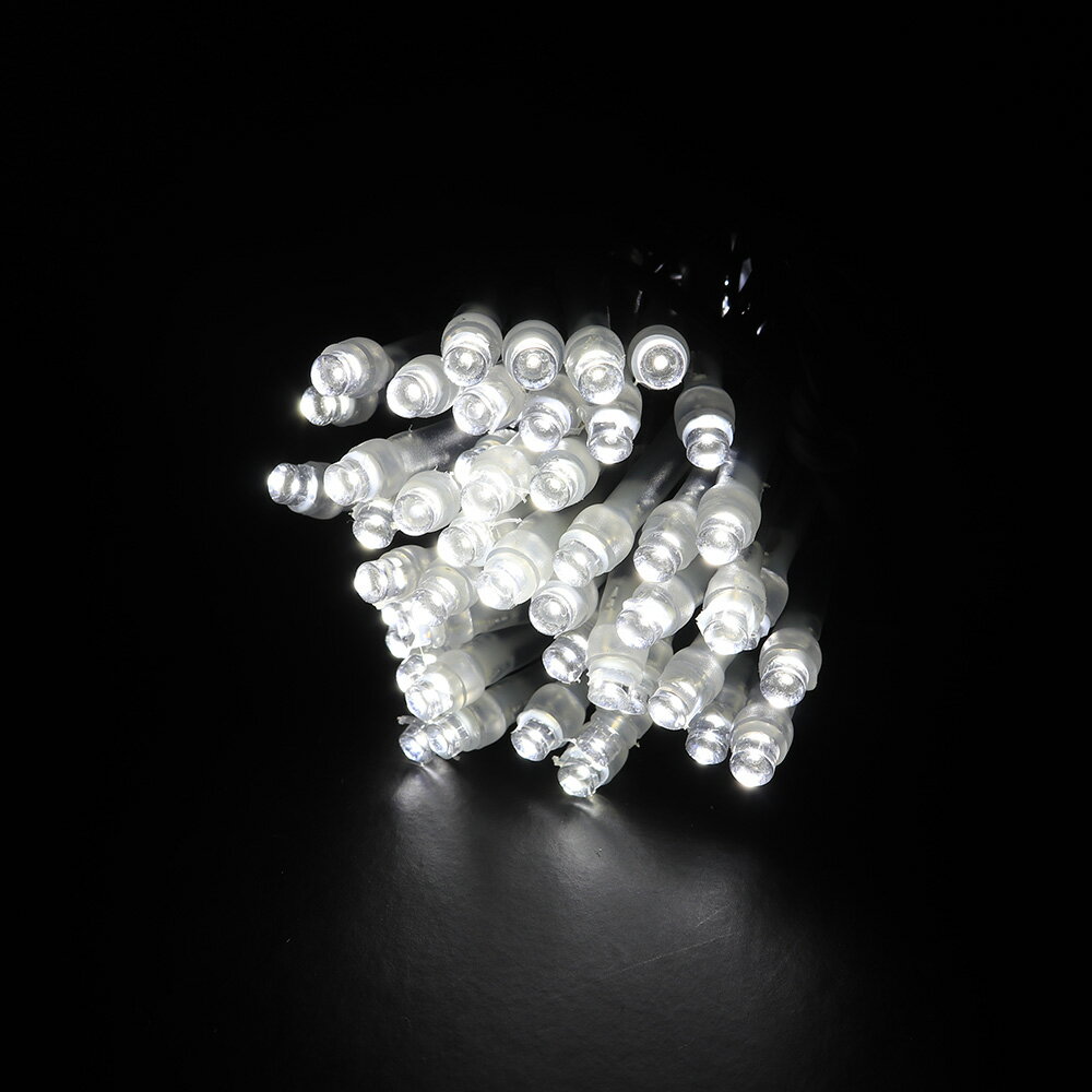 2芯ストリングライト RY2 ブラックコード ホワイト色