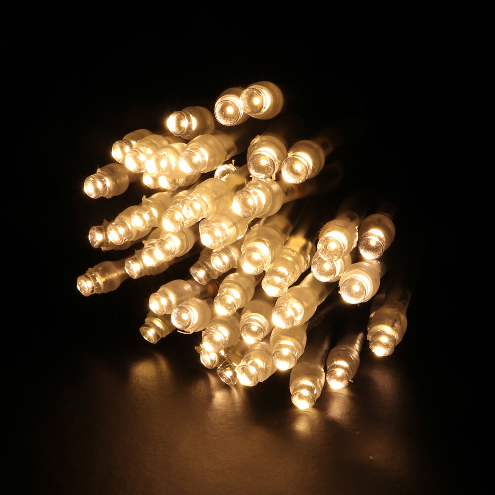 2芯ストリングライト RY2 ブラックコード ウォームホワイト色