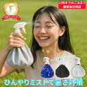 氷のう 氷嚢 2WAY アイスバッグ ミストシャワー スプレー付き氷の...(4)