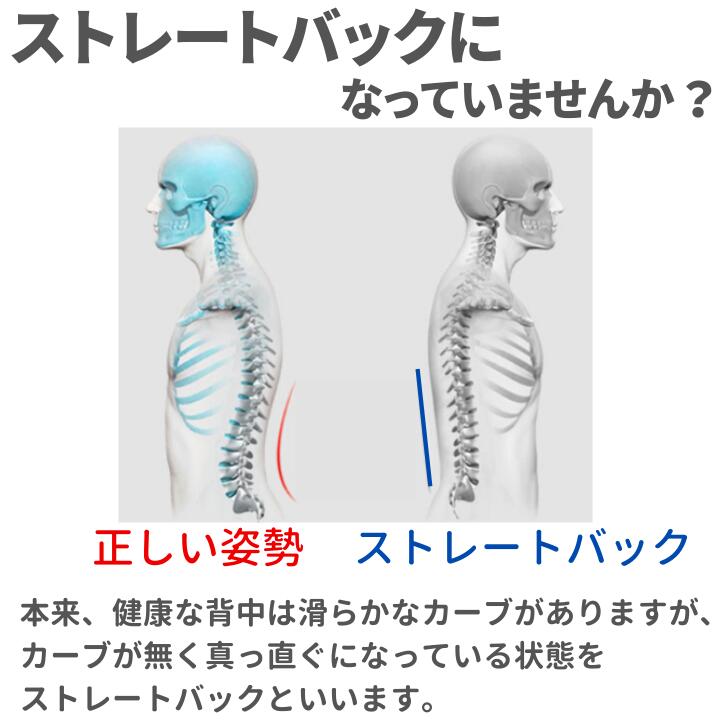 背中 ストレッチ バック ストレッチャー マッサージ ツボ押し 4段階調節 腰痛 肩こり 猫背 姿勢 解消 改善 矯正 肩甲骨 牽引 ストレートネック 指圧 自律神経 健康 体調 偏頭痛 整体枕 健康 背筋伸ばし 敬老の日