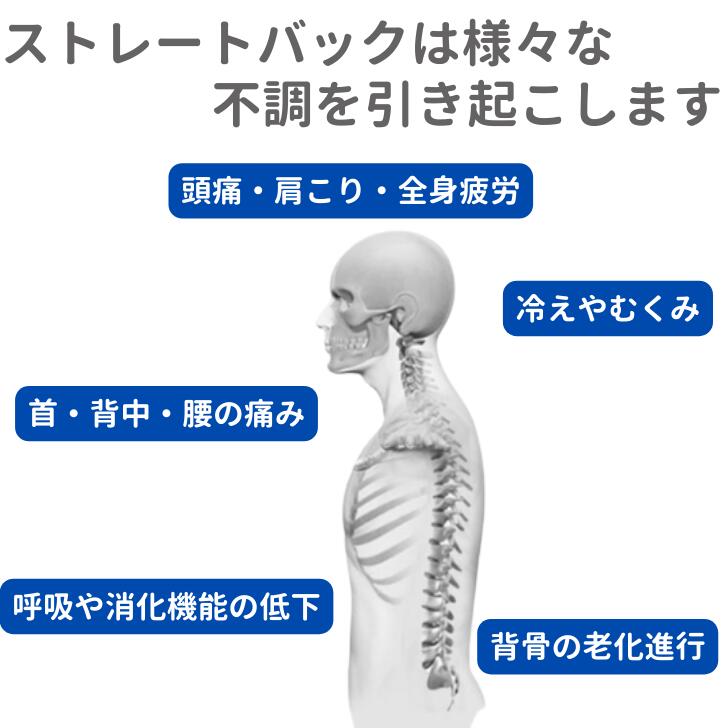 背中 ストレッチ バック ストレッチャー マッサージ ツボ押し 4段階調節 腰痛 肩こり 猫背 姿勢 解消 改善 矯正 肩甲骨 牽引 ストレートネック 指圧 自律神経 健康 体調 偏頭痛 整体枕 健康 背筋伸ばし 敬老の日